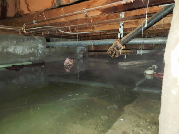 Trusted Gibbstown, NJ Water damage restoration Experts