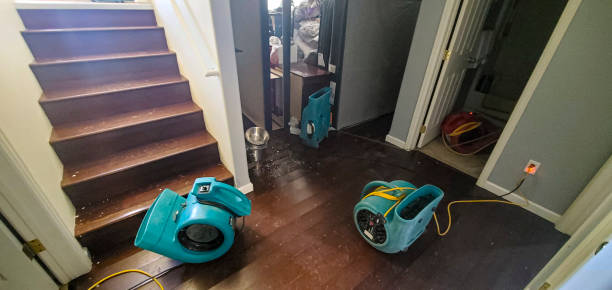 Best Carpet water damage restoration  in Gibbstown, NJ
