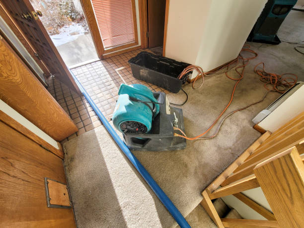 Best Water damage cleanup near me  in Gibbstown, NJ
