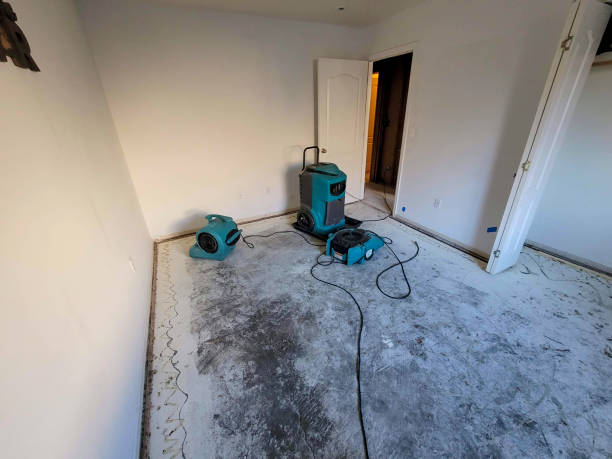Best Water damage restoration experts  in Gibbstown, NJ