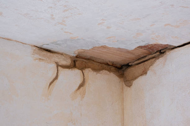 Sewage cleanup and water damage restoration in Gibbstown, NJ