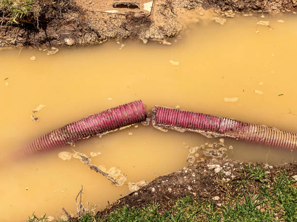 Water damage restoration mold remediation in Gibbstown, NJ