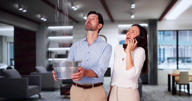 Best Professional water damage repair  in Gibbstown, NJ